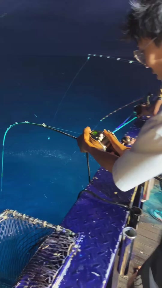 海钓金枪系列全部(海钓金枪鱼是什么原理)
