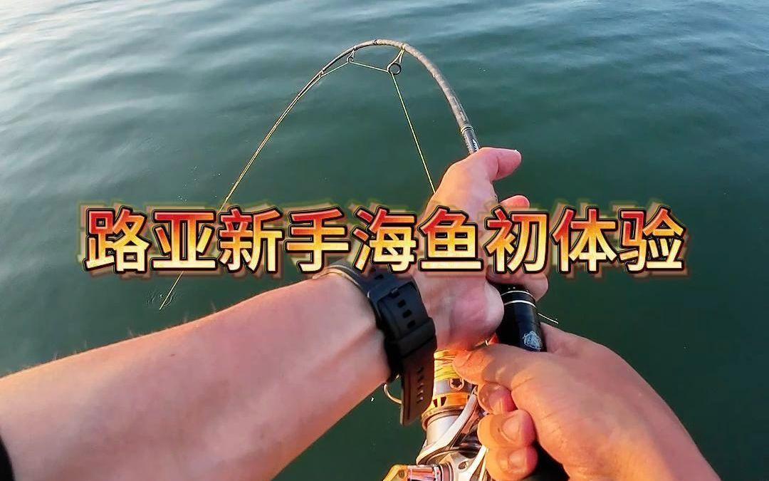 gt路亚季节(FISHINGPLANET路亚)