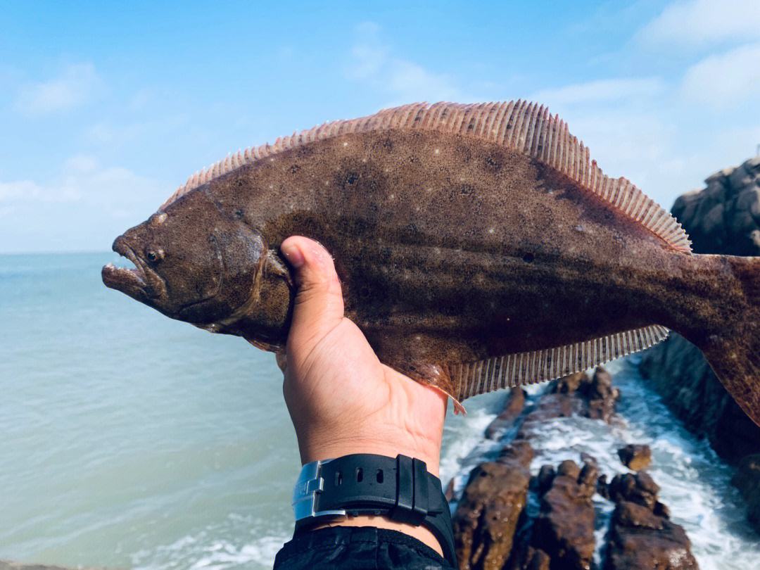 海钓石雕技巧(海钓石头打底技巧)