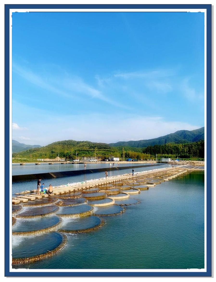 关于上虞沥海钓场的信息
