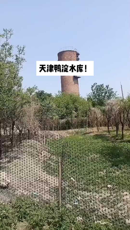 鸭淀水库钓鱼技巧(鸭淀水库钓鱼技巧视频)