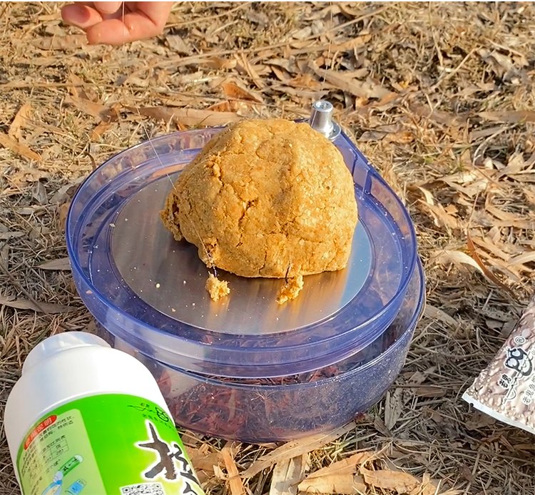 饵料状态是什么(饵料状态不好怎么办)