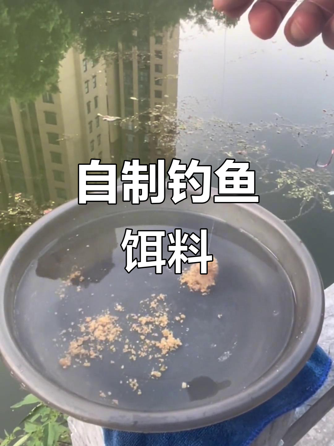 饵料怎么垂钓(饵料怎么垂钓鱼)