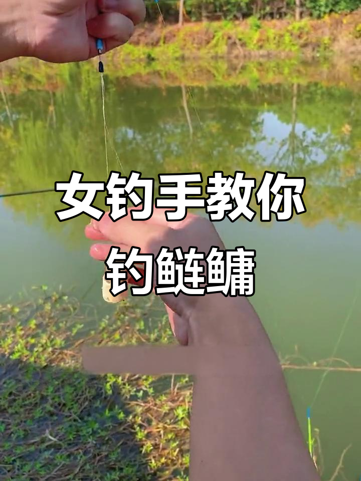 饵料怎么垂钓(饵料怎么垂钓鱼)