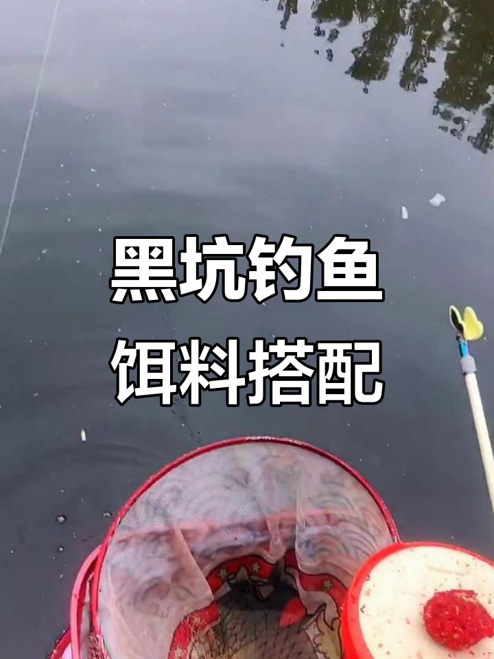 虾饵放置技巧(虾饵放置技巧图片)