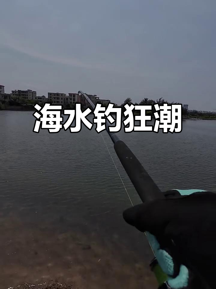 海口镇海钓鱼地点(海口海钓鱼最多的地方)