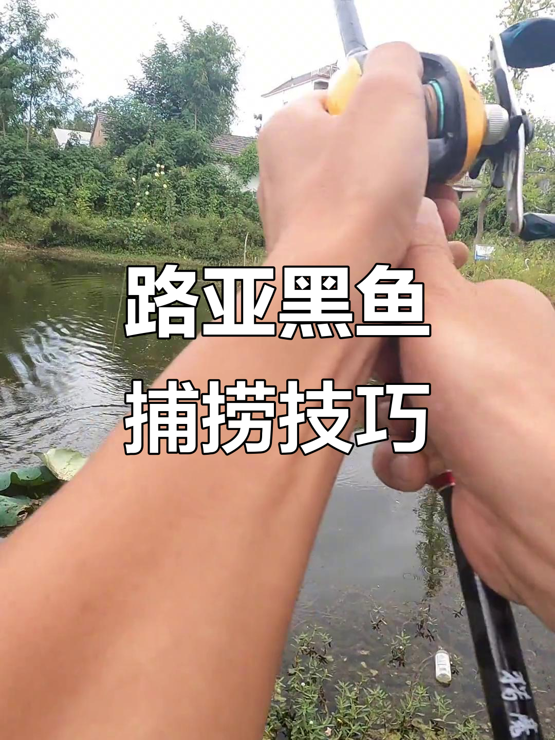 路亚路黑鱼方法(路亚黑鱼新手教程视频)