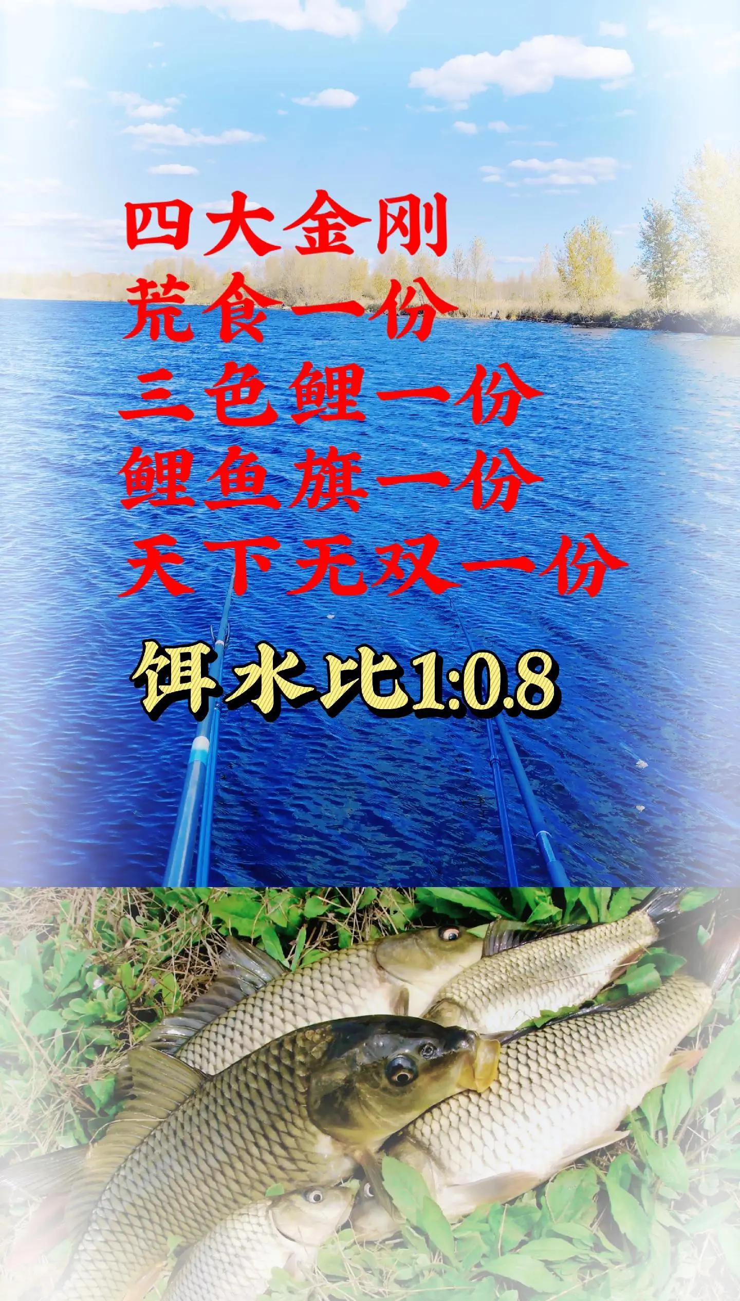 四川野钓鲤鱼饵料配方(四川野钓鲤鱼饵料配方图片)