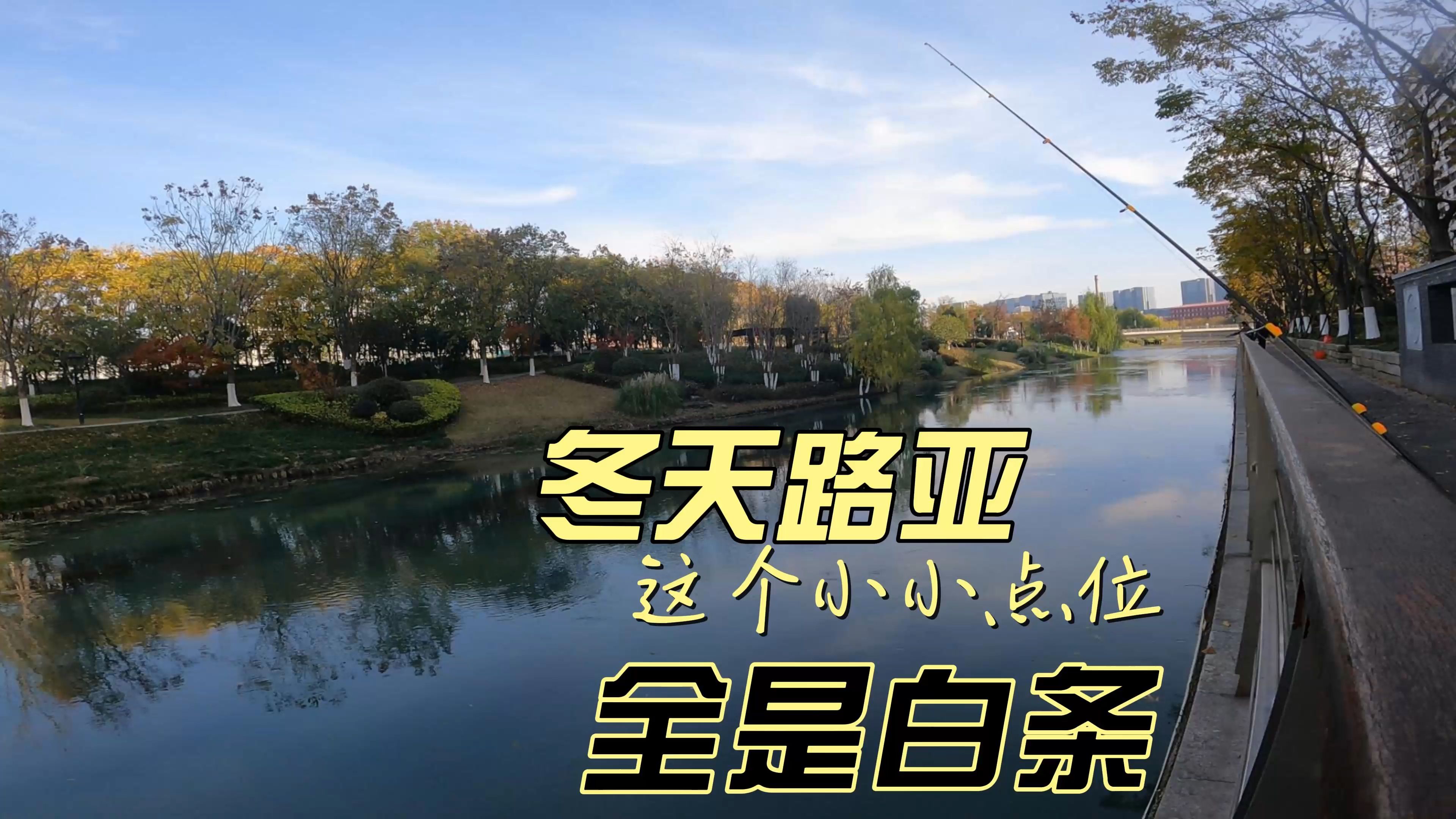 白河冬季路亚(白河套和669路亚)