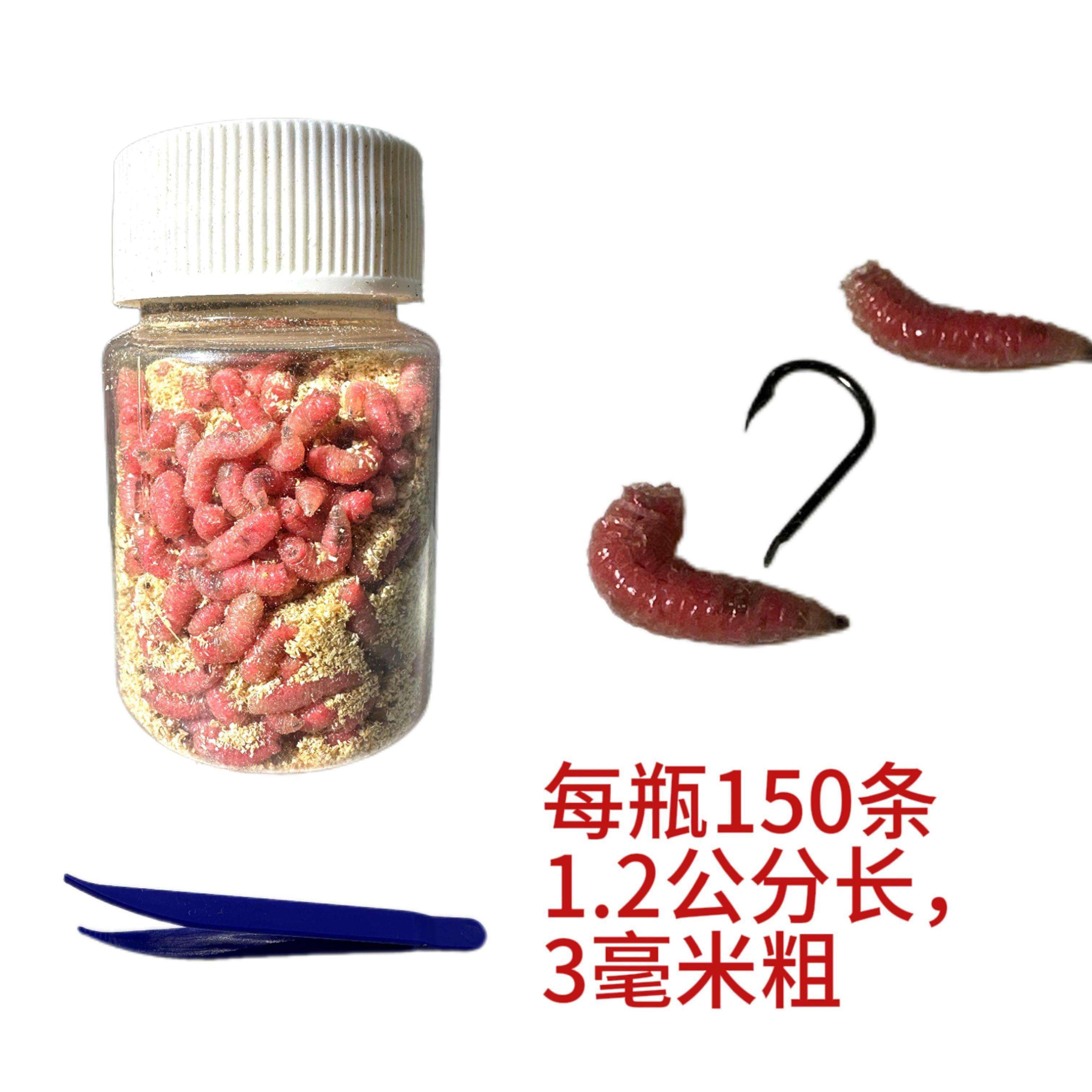 渔具店有蛆买吗(渔具店东西怎么那么贵)