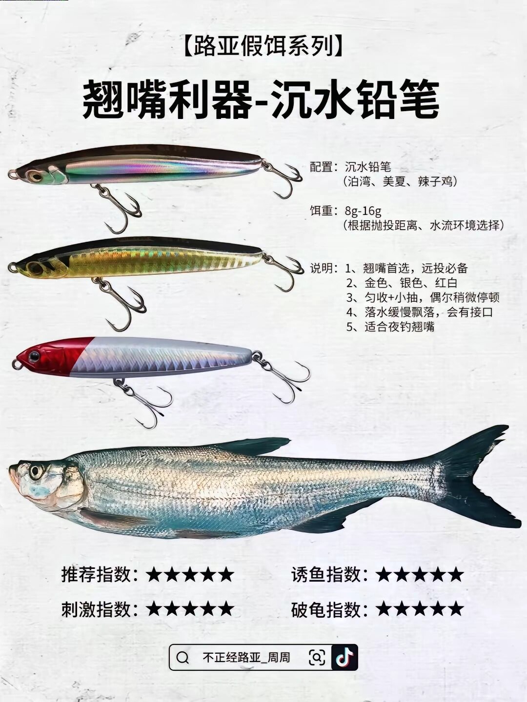 路亚铒的分类(路亚jig种类)