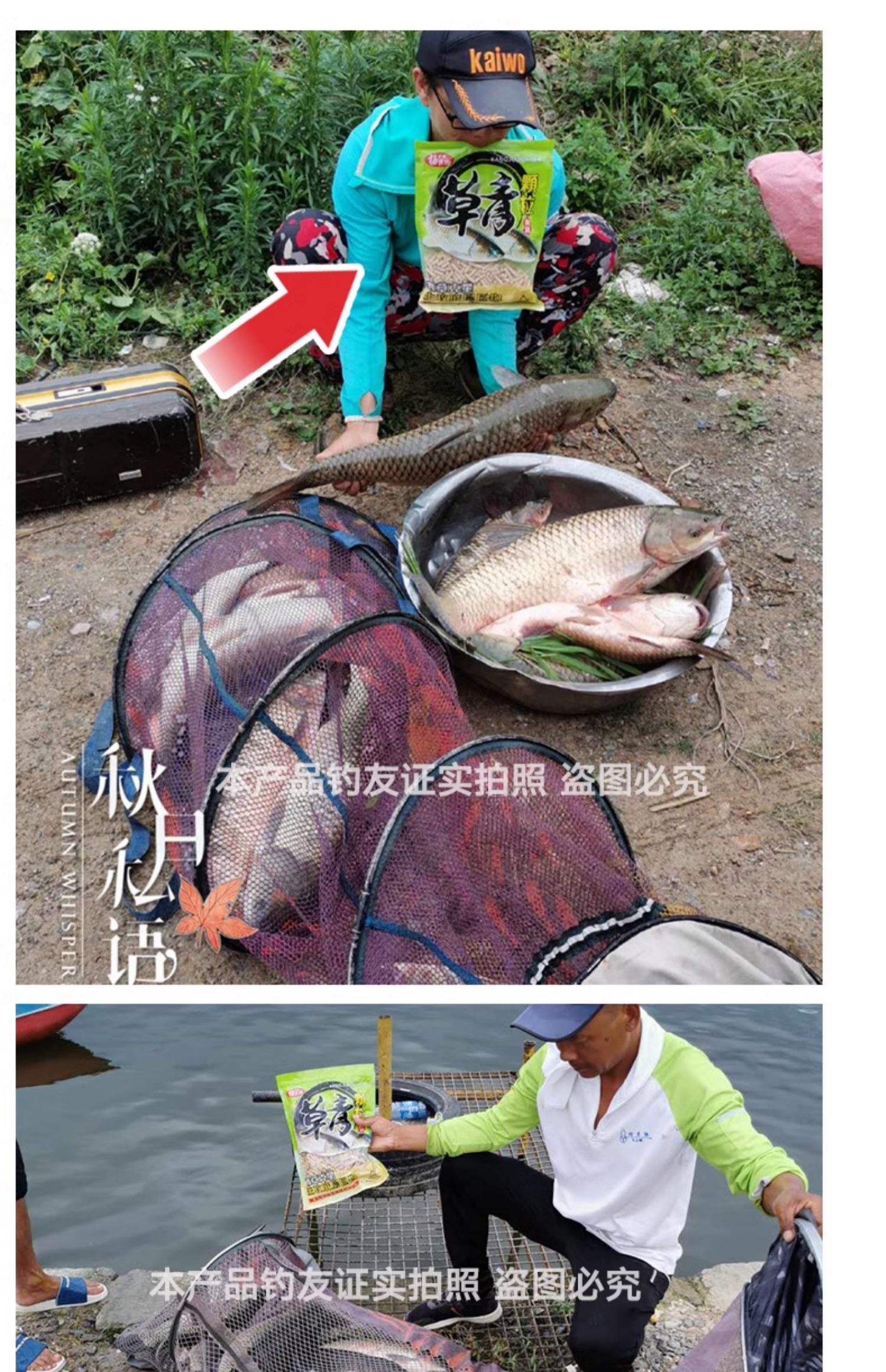 水库水肥用什么饵料(水库水肥用什么饵料钓鲤鱼)
