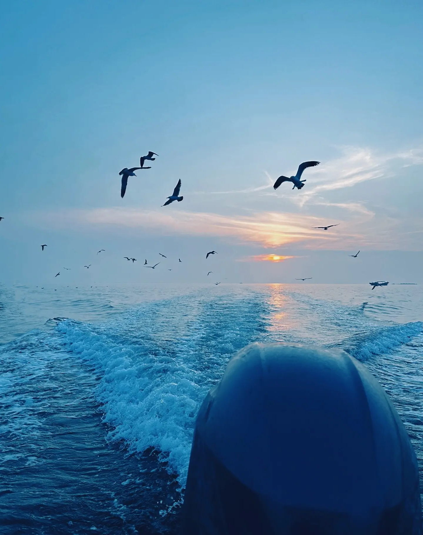 打雷后海钓(打雷过后鱼好钓吗)