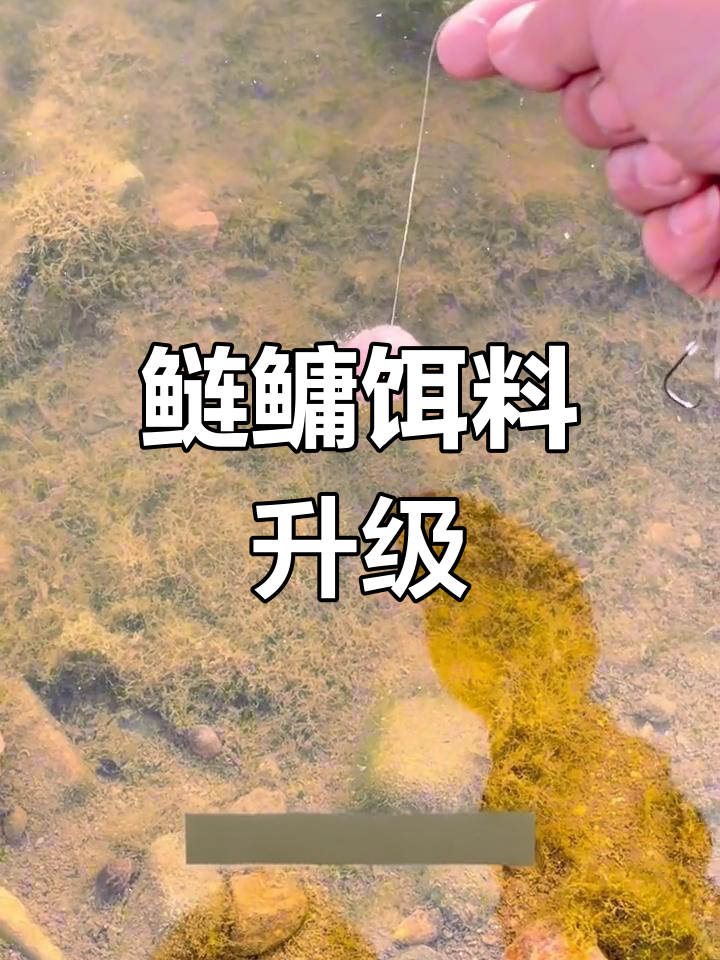 饵料雾化怎么是最佳效果(饵料雾化效果取决于什么因素)