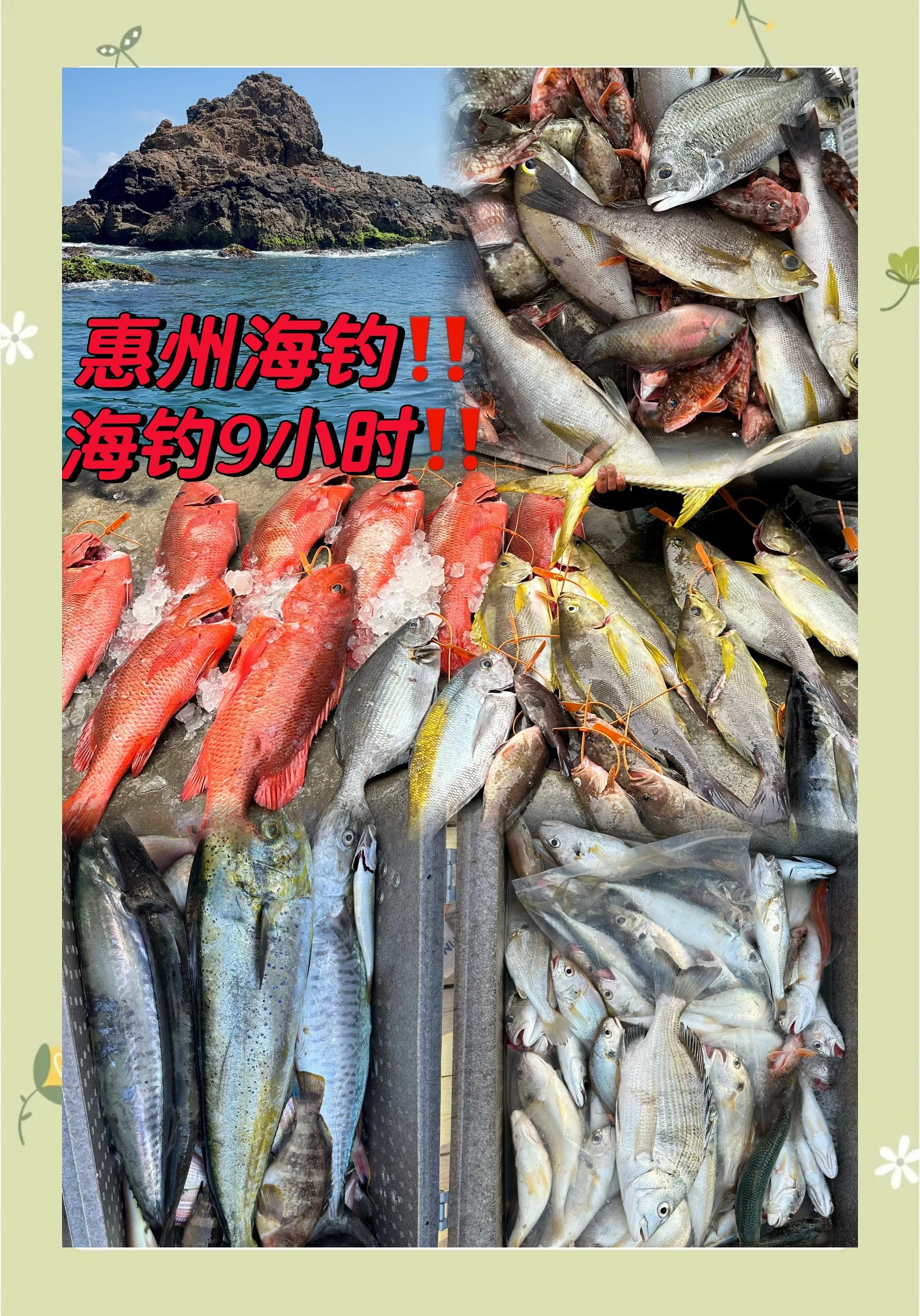 电白区哪里好海钓(电白哪个海边可以自己抓海鲜)