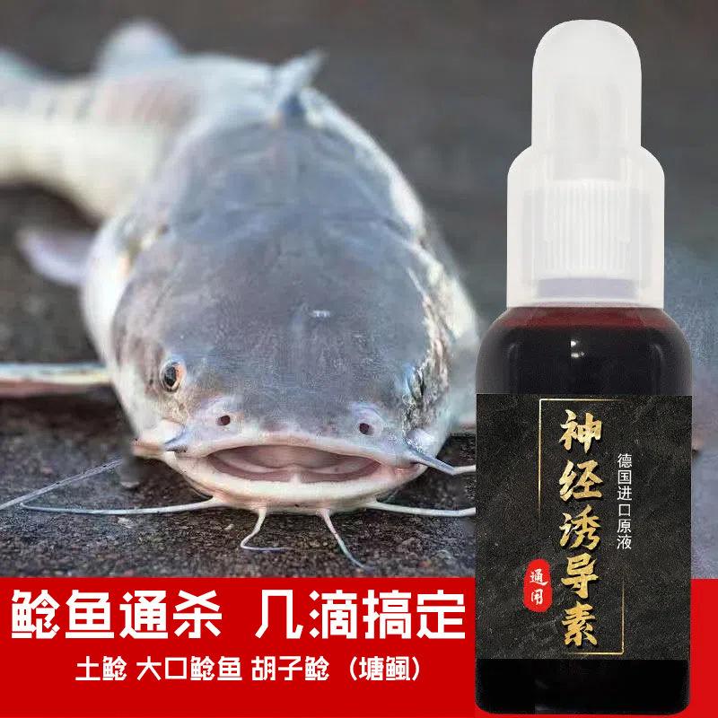 小药饵料(钓鱼饵料小药)