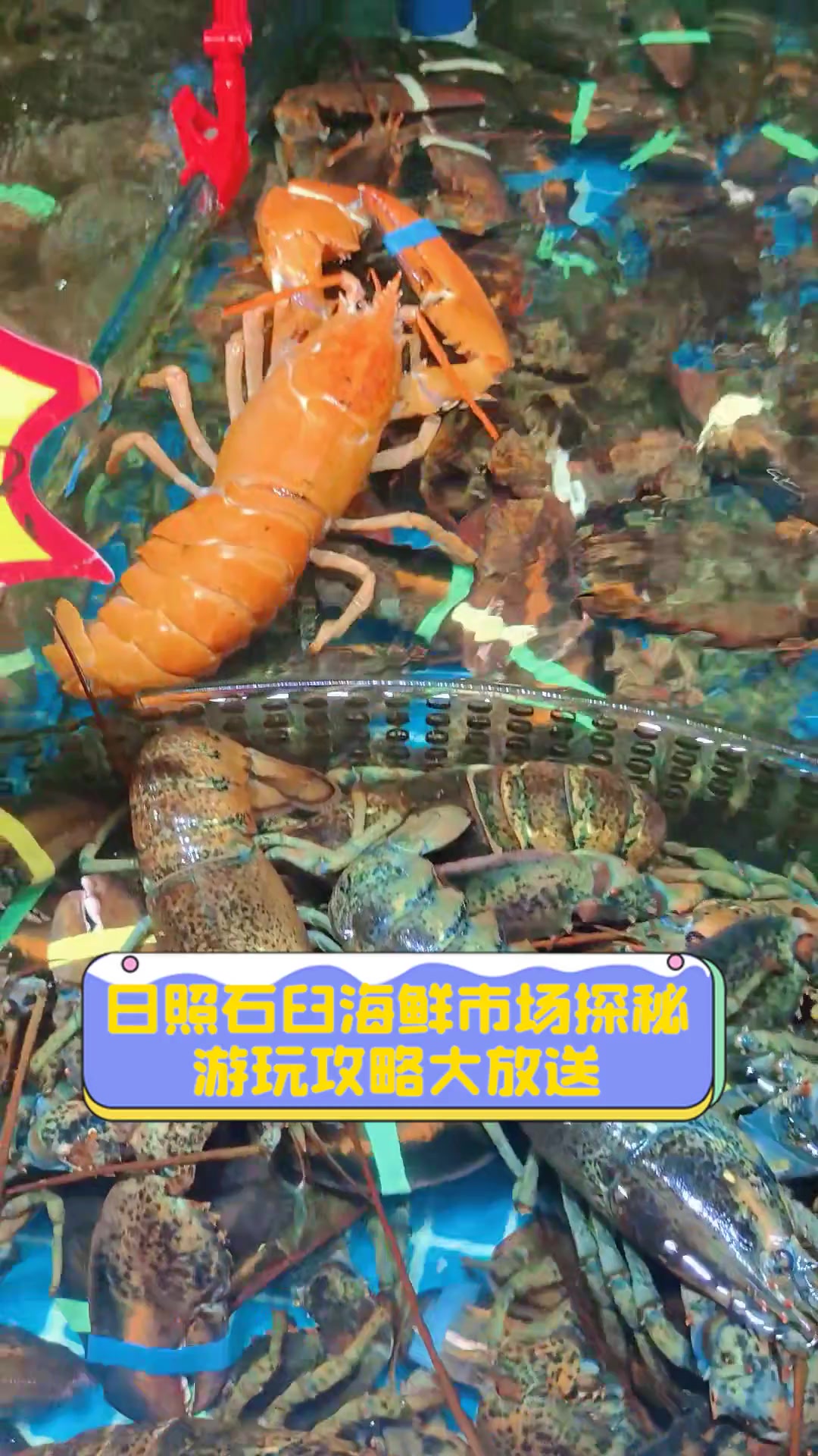 日照石臼渔具店(日照石臼渔具店在哪里)