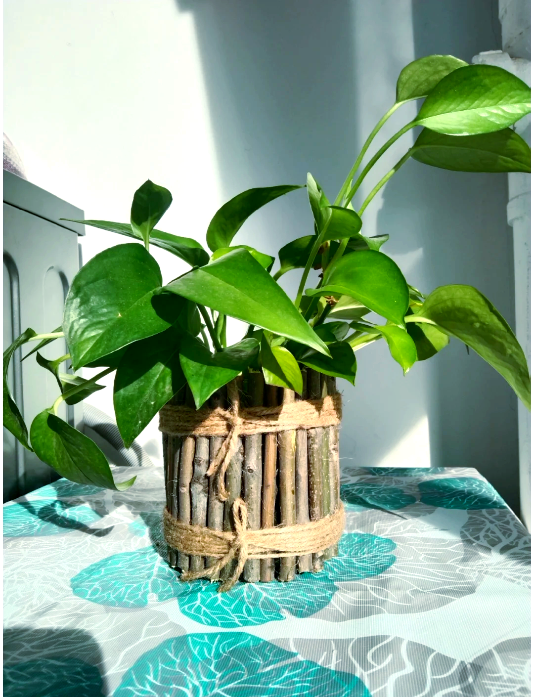 渔具diy变废为宝(渔具diy手工制作大全)