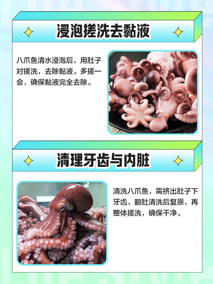 海钓八爪鱼技巧(海钓八爪鱼用什么鱼饵最好)