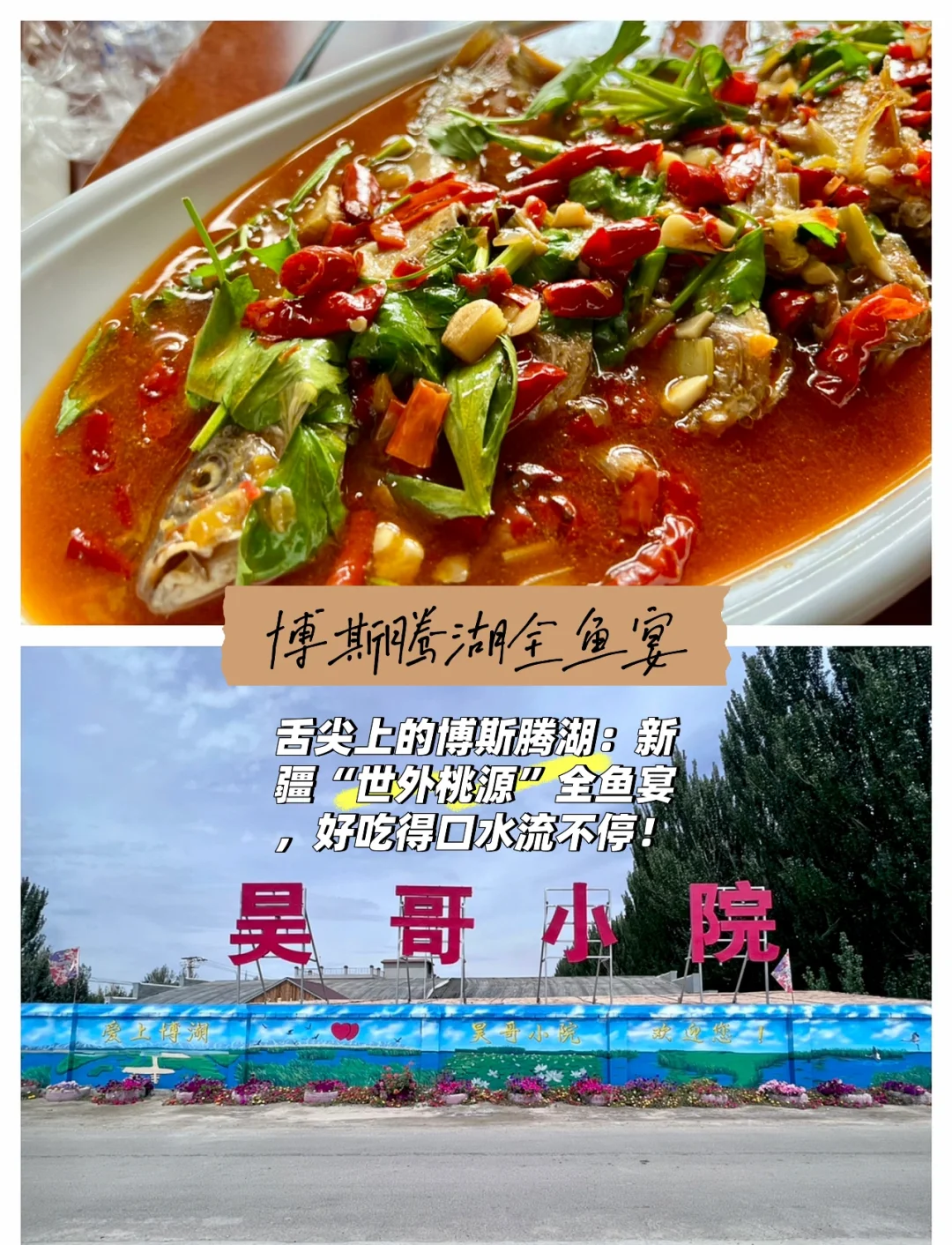 路亚赤鲈(路亚钓赤眼用什么饵最好)