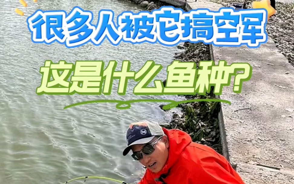 路亚虹鳟技巧(路亚钓虹鳟教学视频)