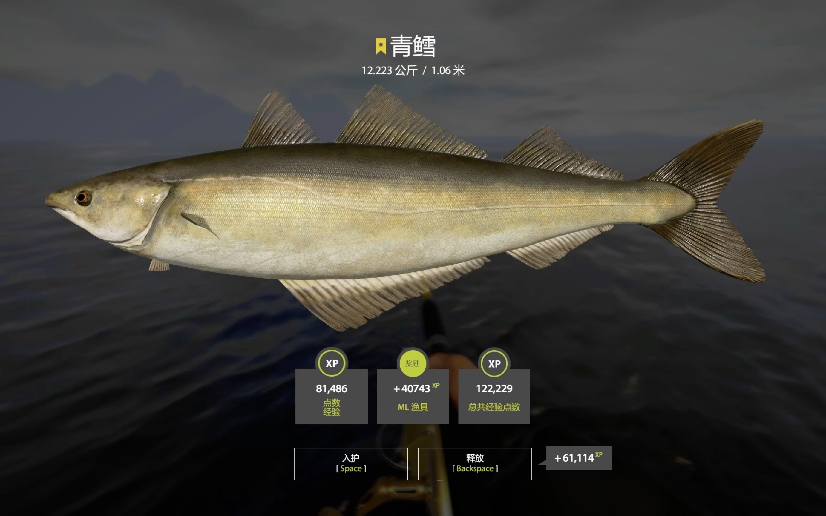 海钓鳕鱼天气(钓鳕鱼用什么鱼饵最好)