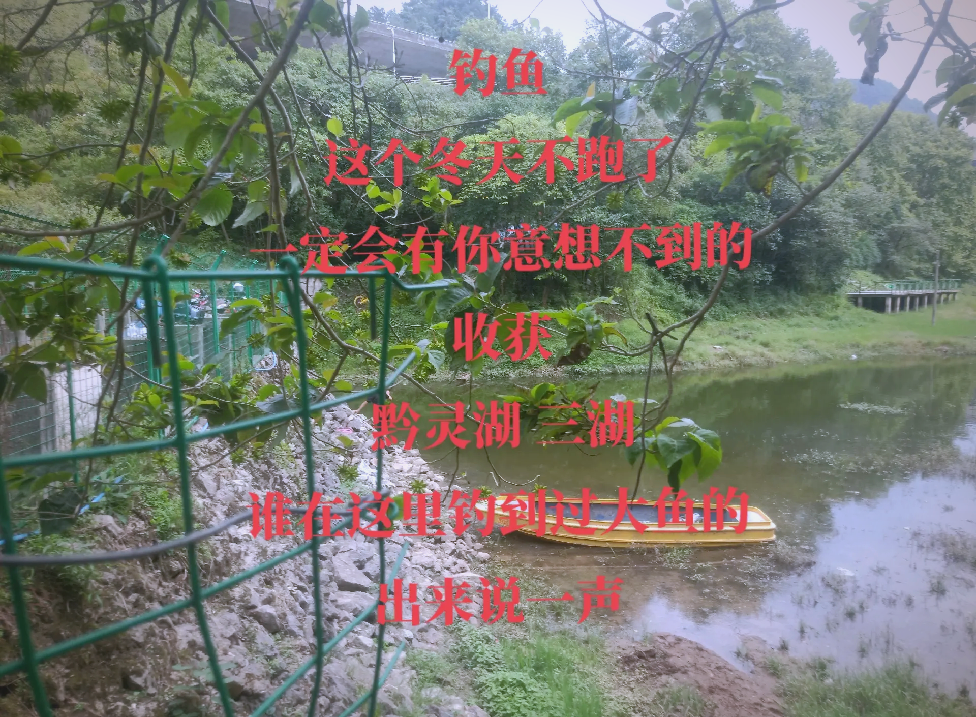 养殖塘冬天钓鱼技巧(养鱼塘冬天钓鱼用什么钓)