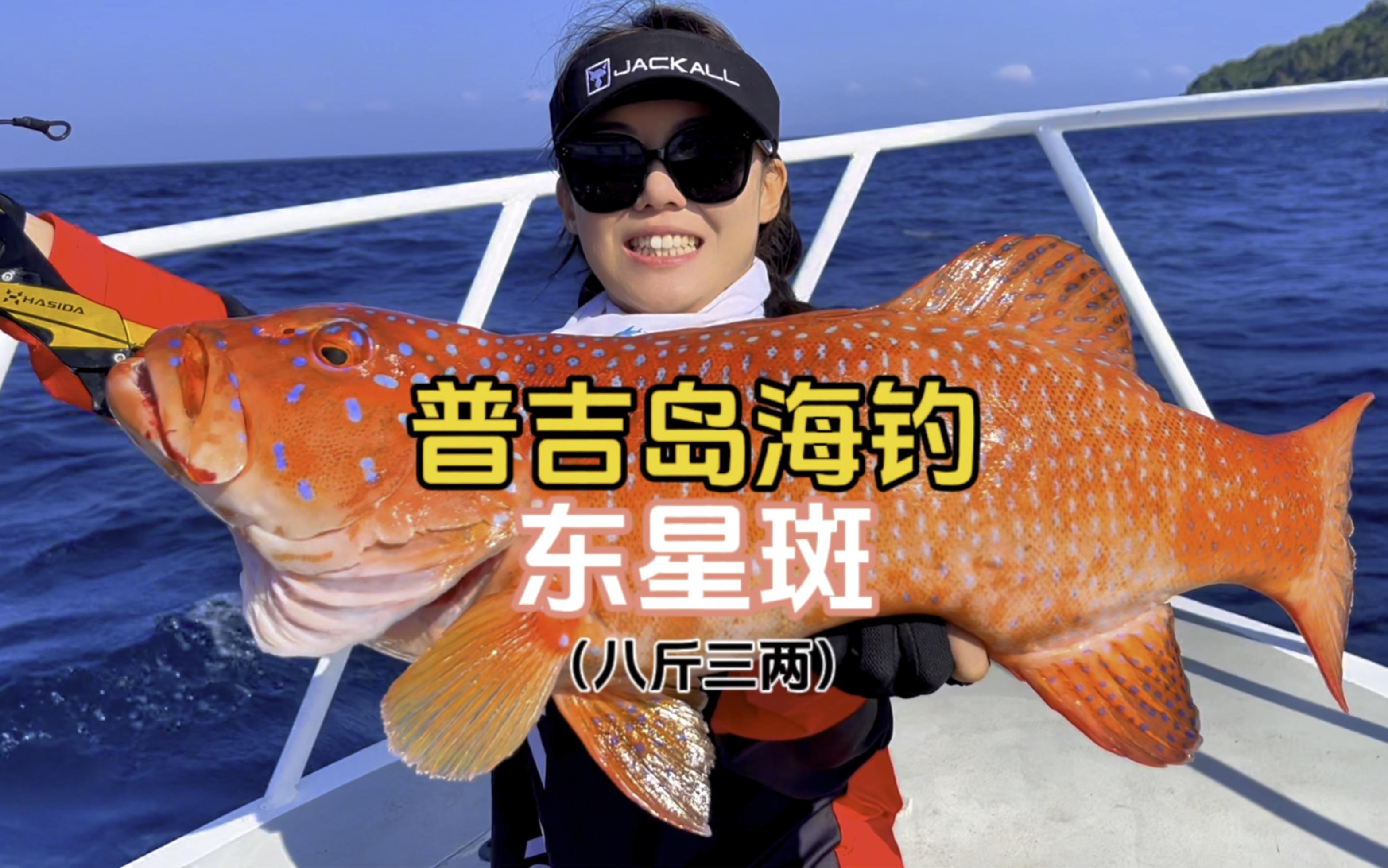 海钓石斑季节表(海钓钓石斑鱼钓底多深?)