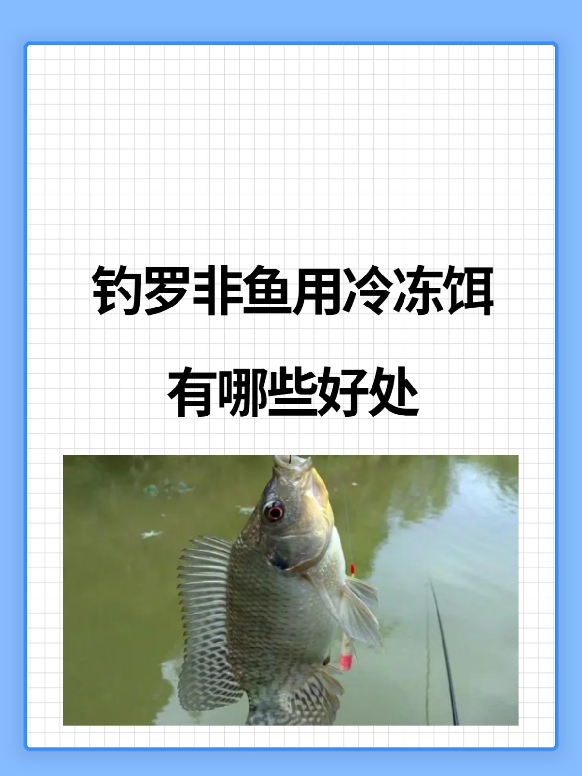 包含钓什么鱼用什么饵技巧的词条