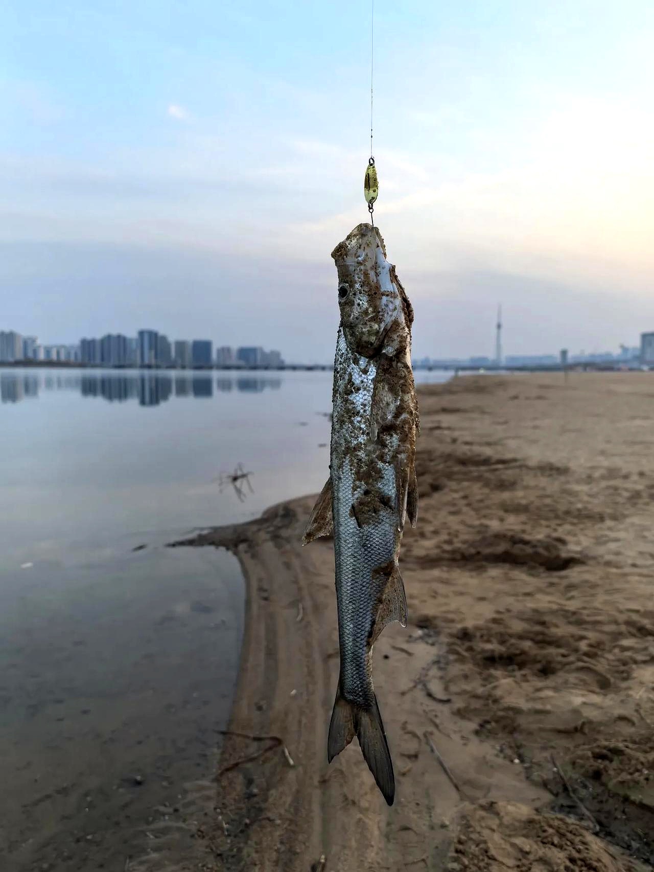 涨潮可以路亚吗(涨潮能钓到鱼还是退潮)
