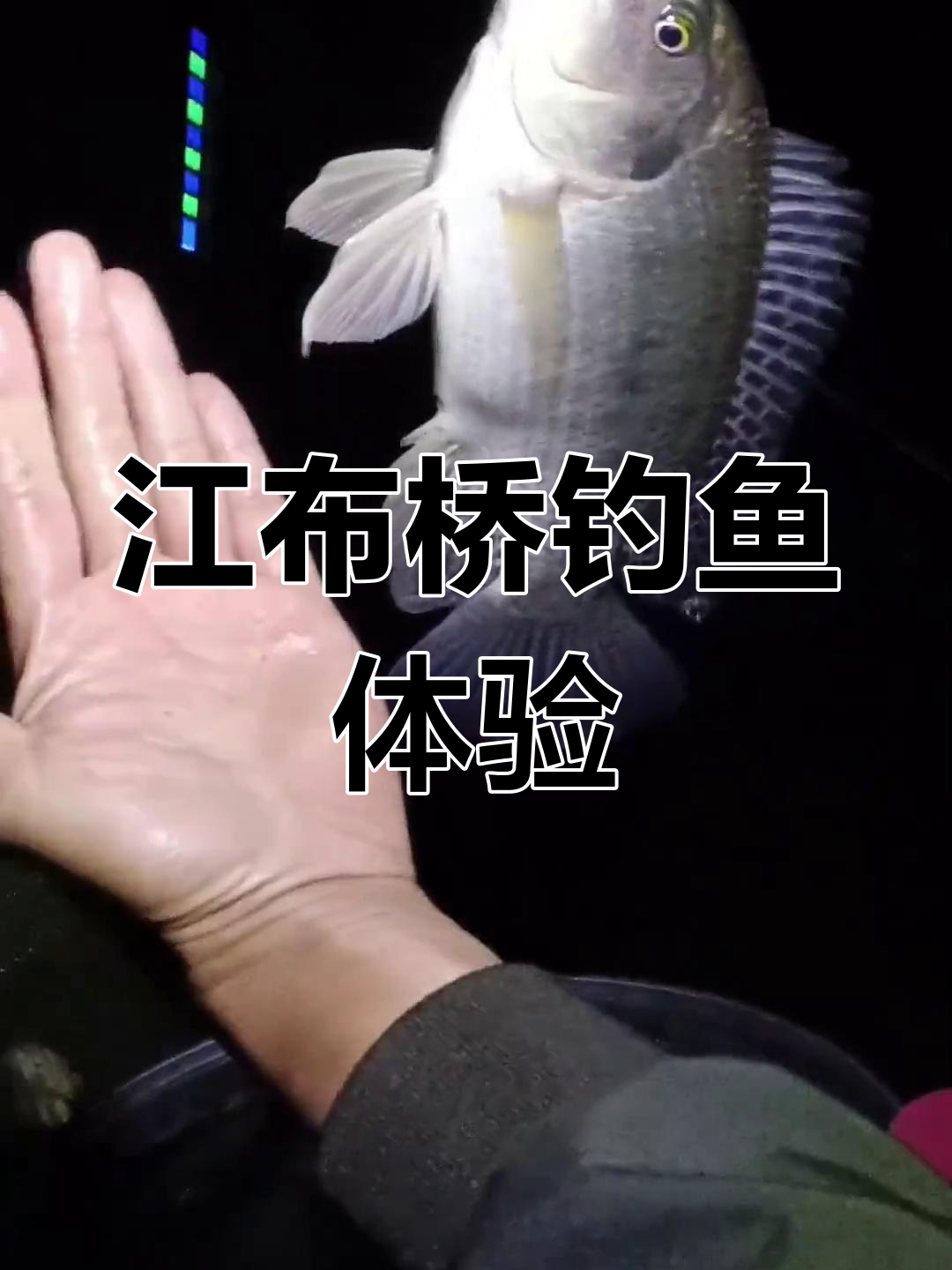 江里钓鱼技巧视频(江里钓鱼技巧视频教学)