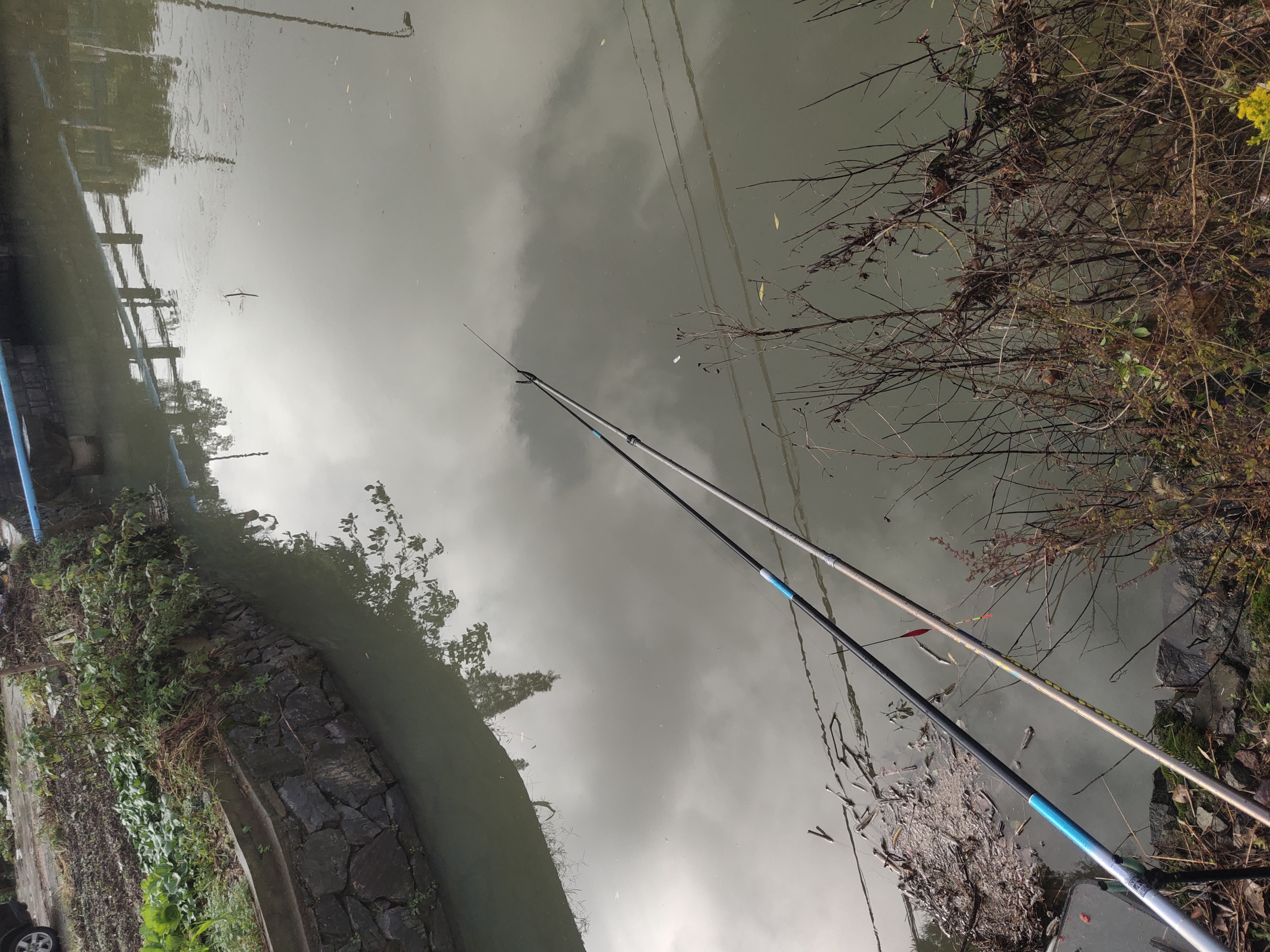 春季下雨时钓鱼的技巧(春季下雨天鱼好钓吗)