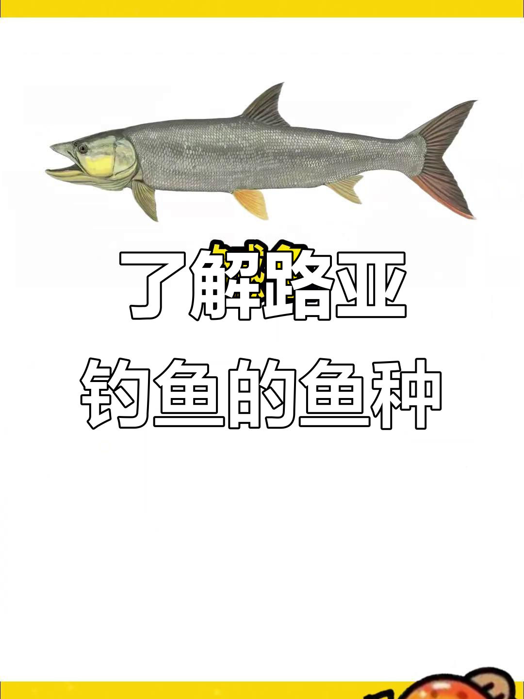 关于路亚怎么才能路到鱼的信息