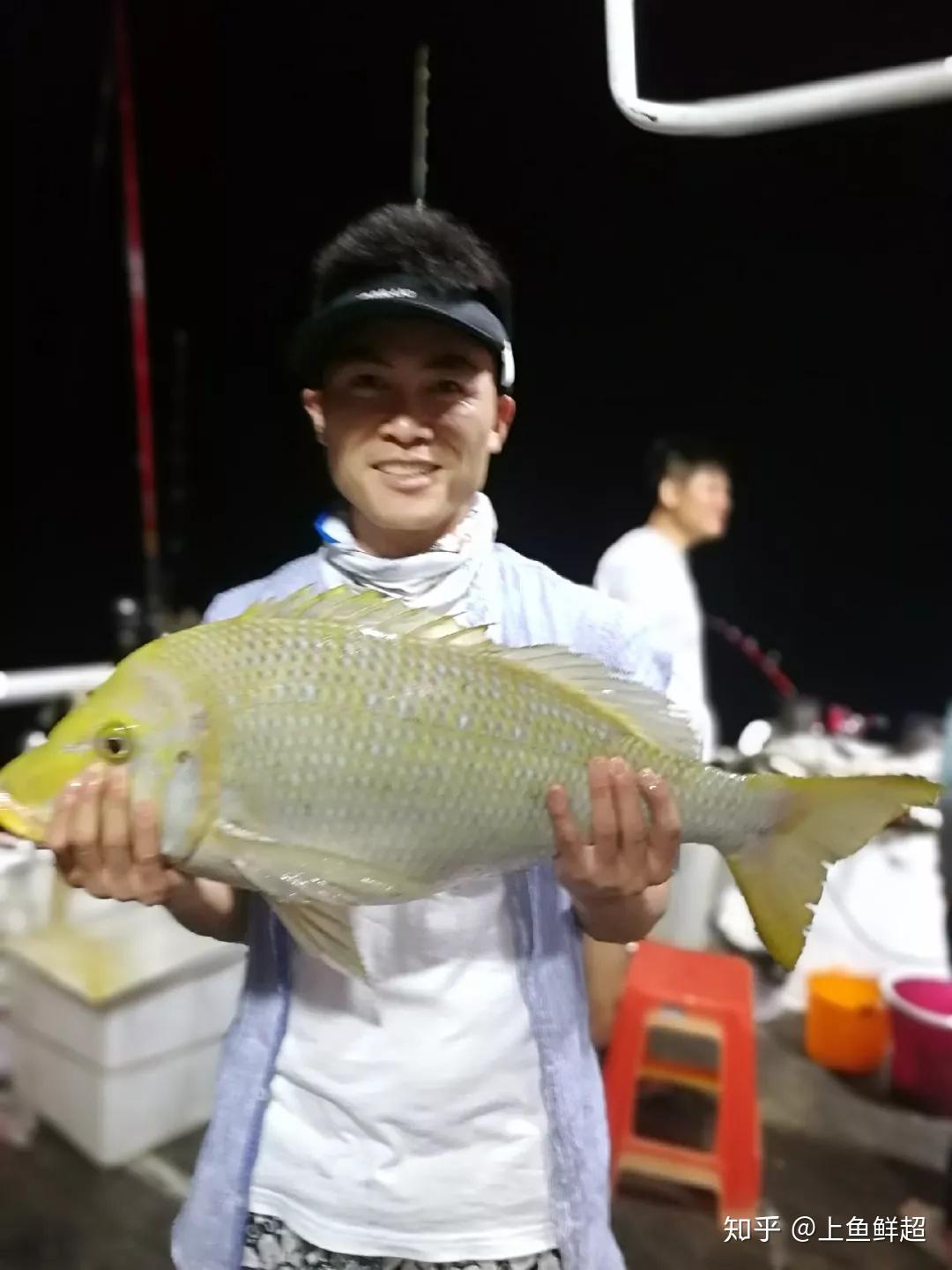 南油海钓联系电话(南油海钓渔获怎么处理)