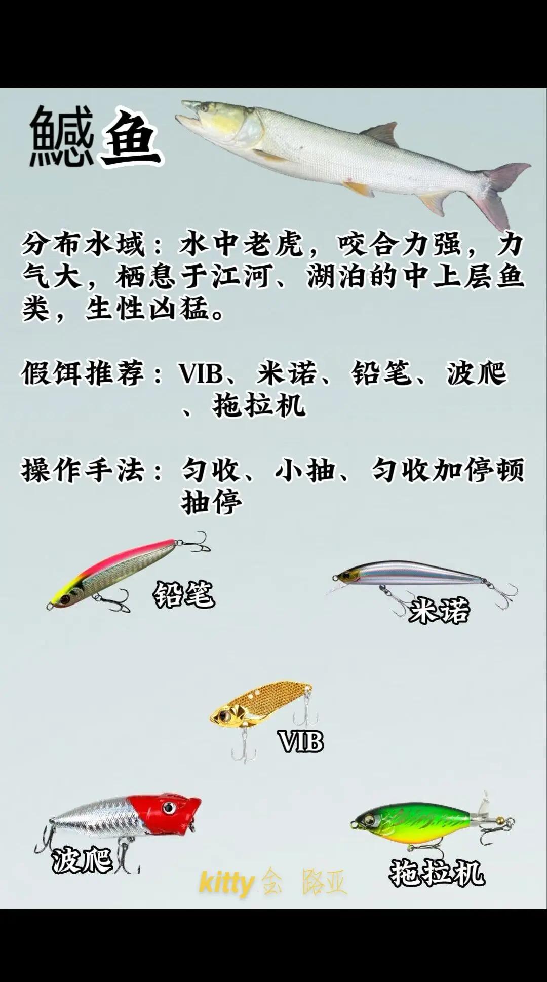 穿鱼饵技巧(怎样穿鱼饵才容易上钩)