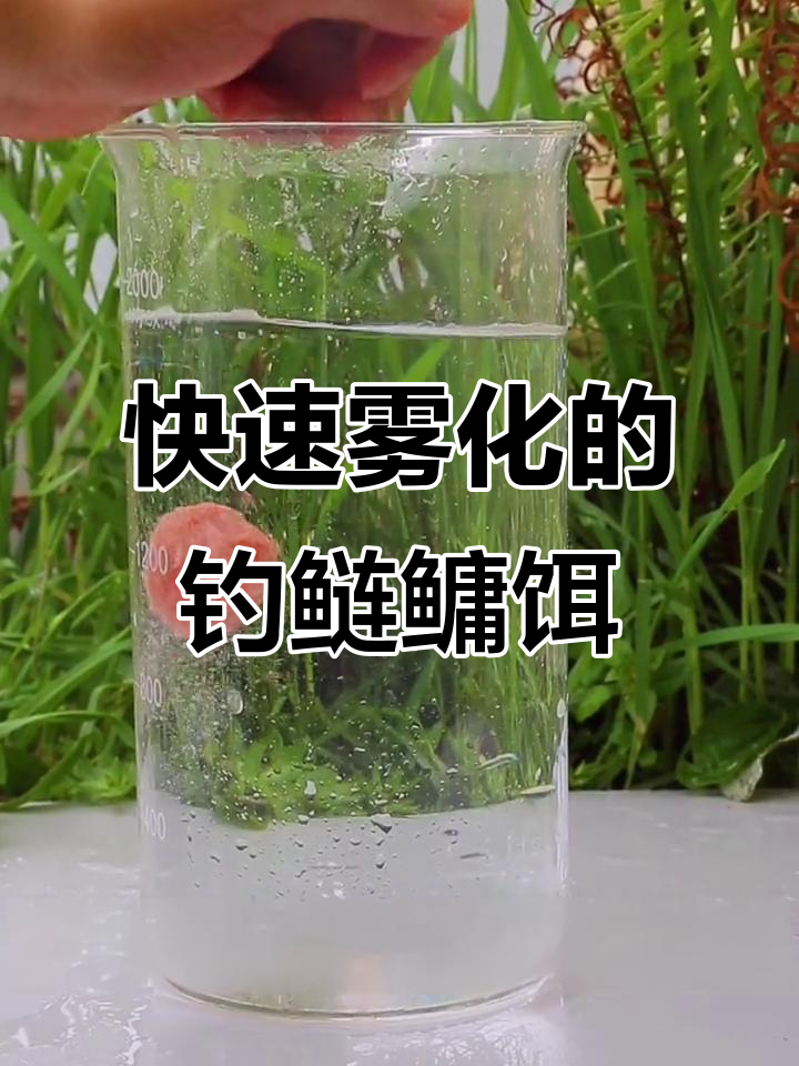 什么饵料控制雾化(饵料怎么控制雾化)