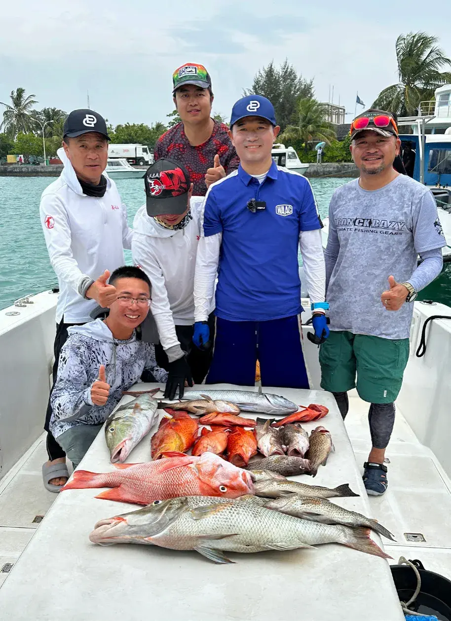 海钓金枪鱼技巧(海钓金枪鱼技巧视频)