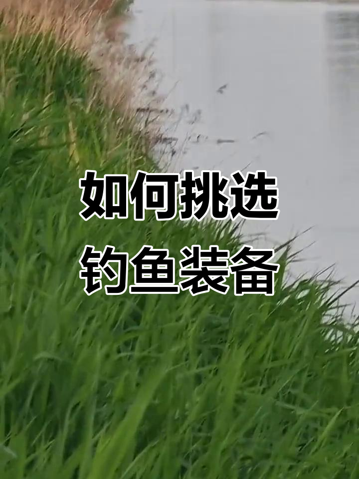初秋钓鲤鱼技巧(初秋钓鲤鱼技巧视频)