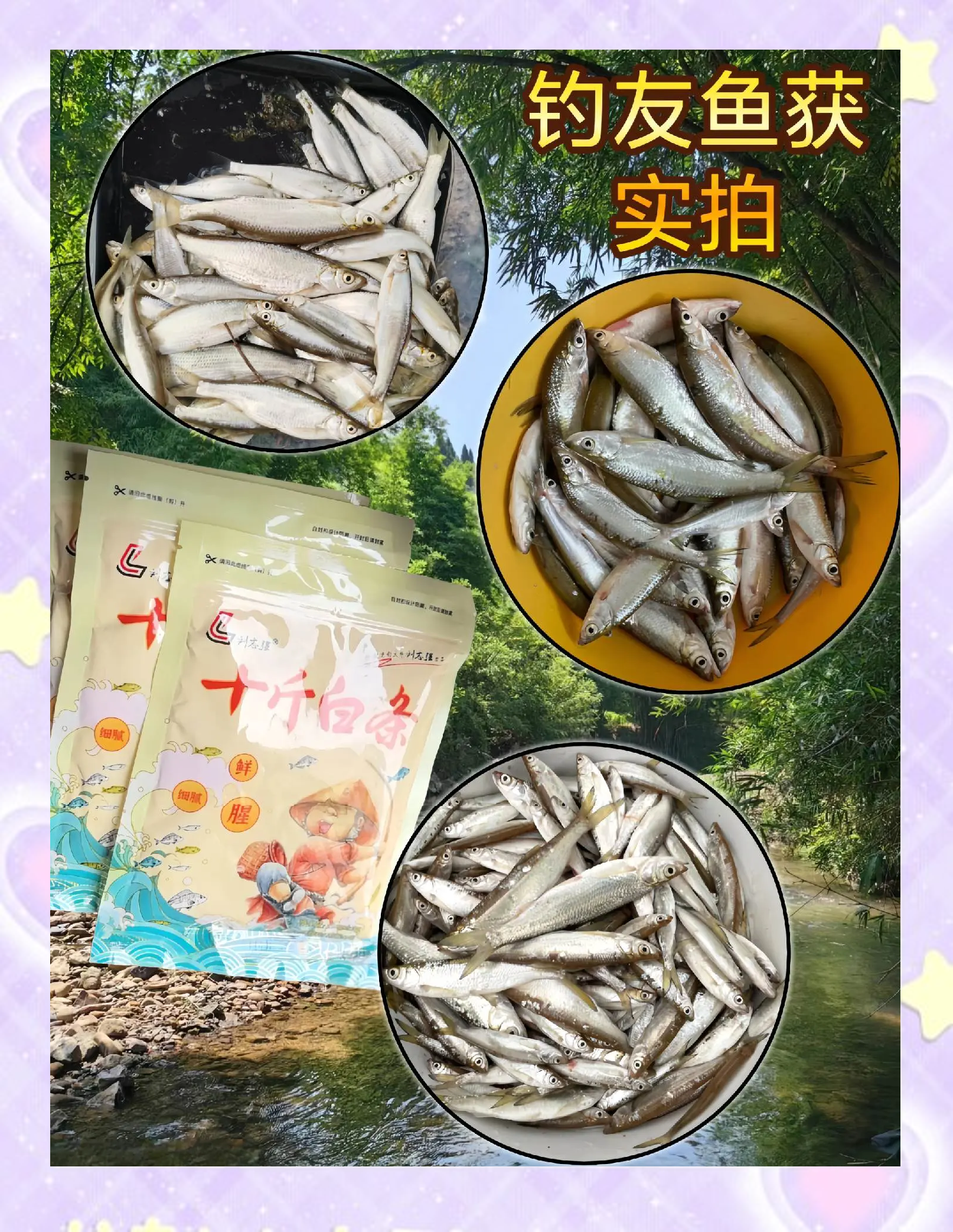 自制饵料白条(民间钓白条鱼食自制)