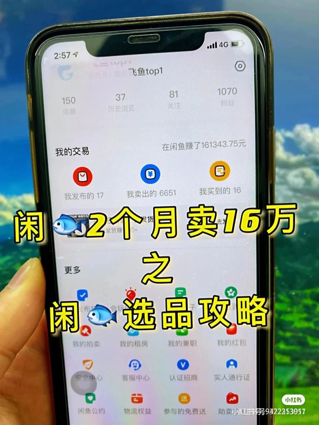 飞鱼任选技巧(飞鱼任选技巧图解)