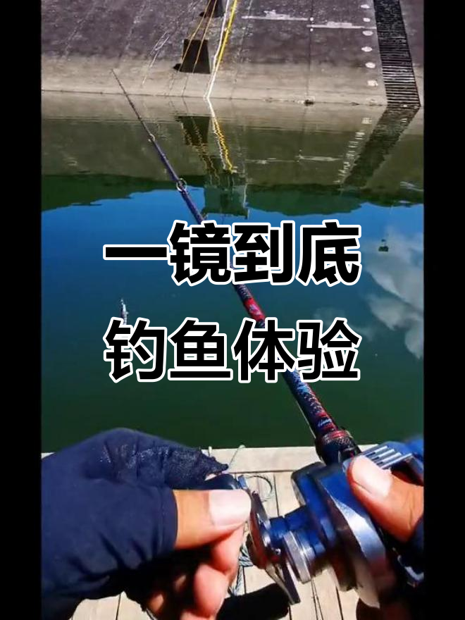 水库长竿钓大鱼技巧(水库长竿钓大鱼技巧图解)