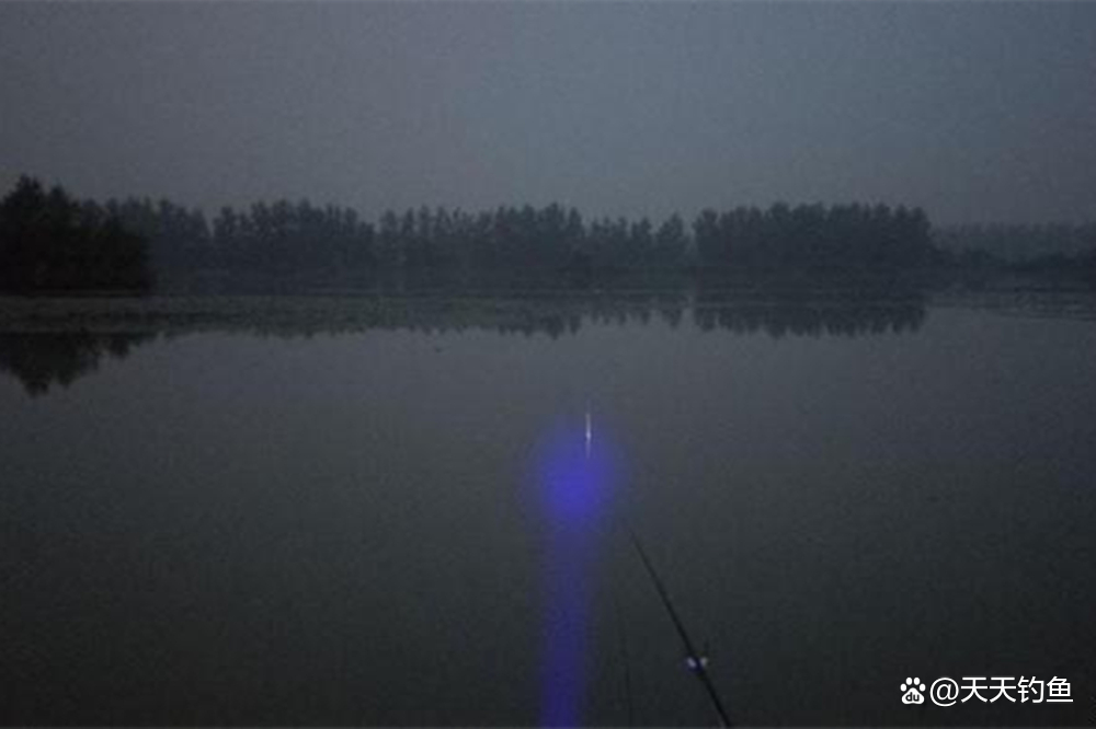 仲秋季节夜钓技巧(仲秋夜钓钓深还是钓浅)