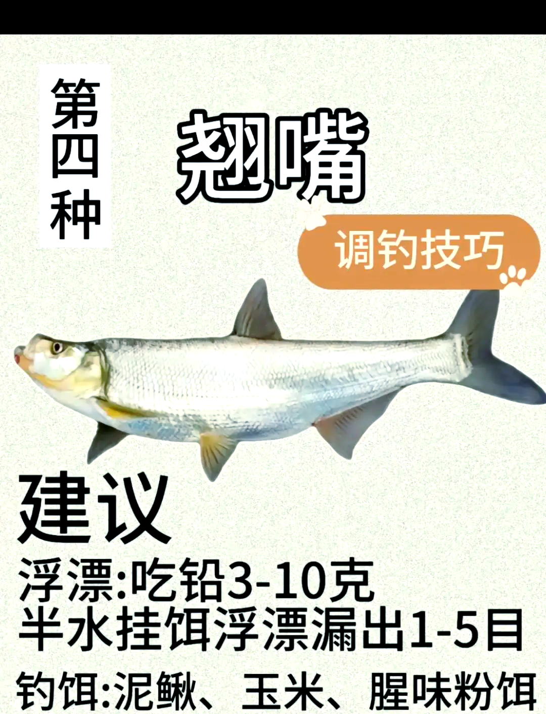 上鱼抬杆技巧(上鱼抬杆技巧视频)