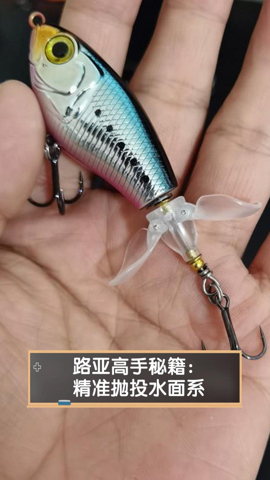 路亚正反抛投(路亚精准抛投视频)