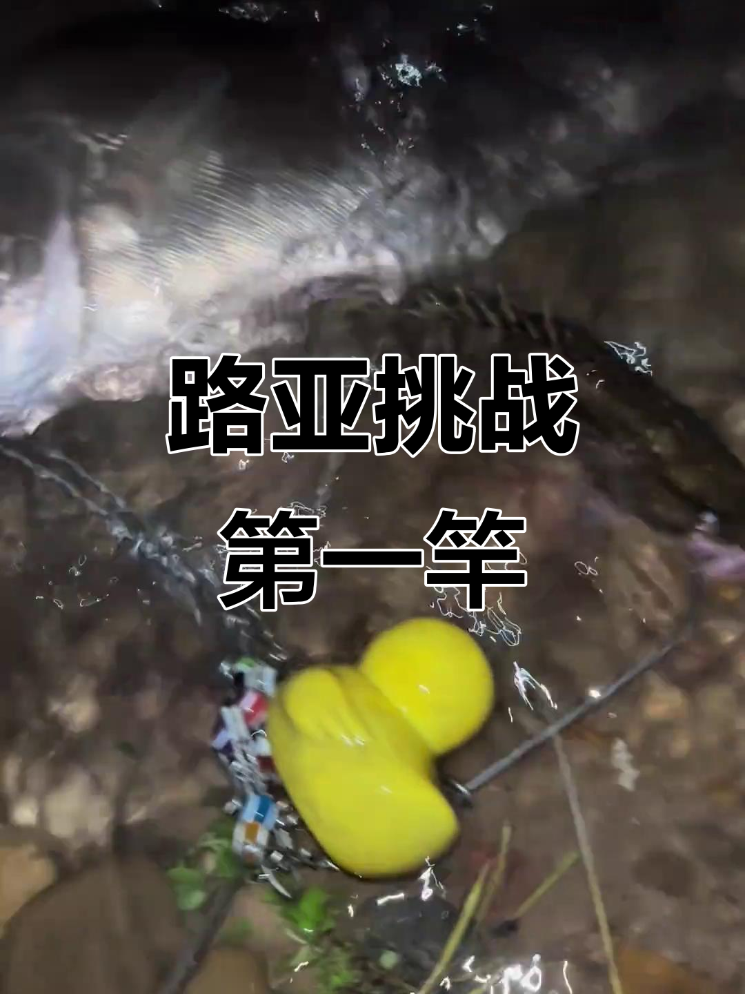 路亚手指捏住线(路亚收线一直松怎么办)