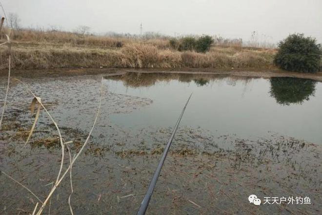 冬天野钓传统钓技巧(冬季野钓钓位钓点的选择)