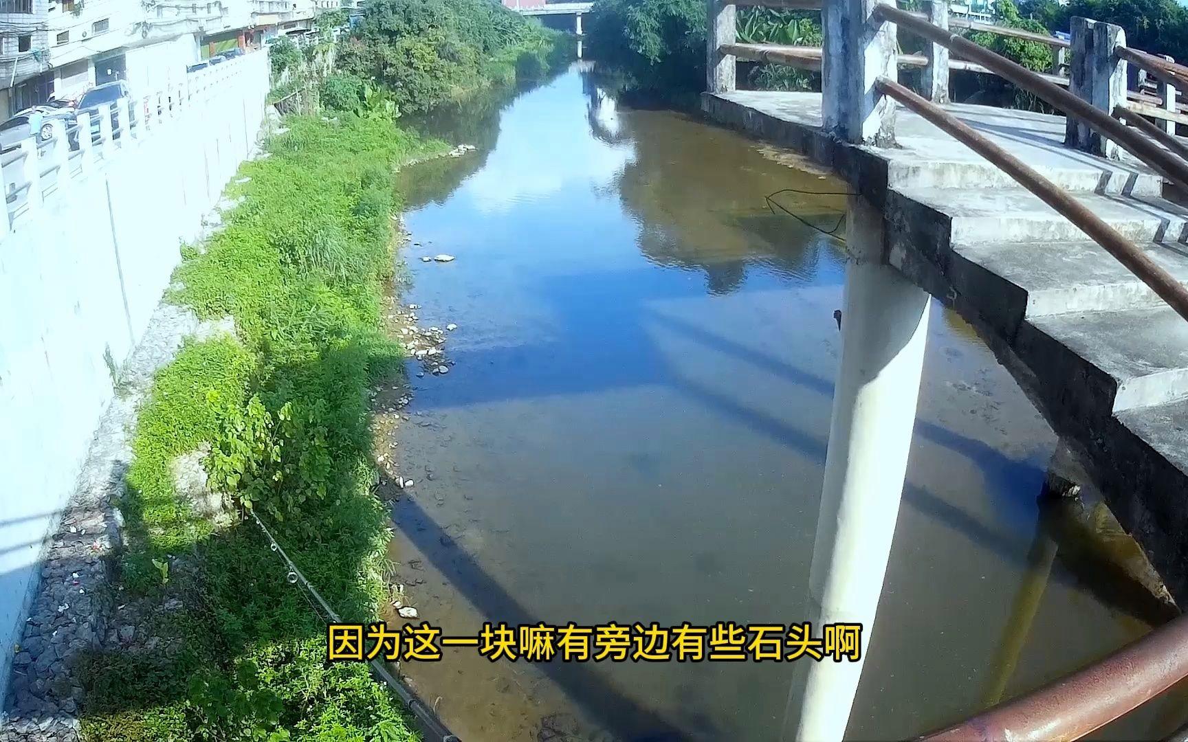 路亚塘广州(广州路亚鱼种)