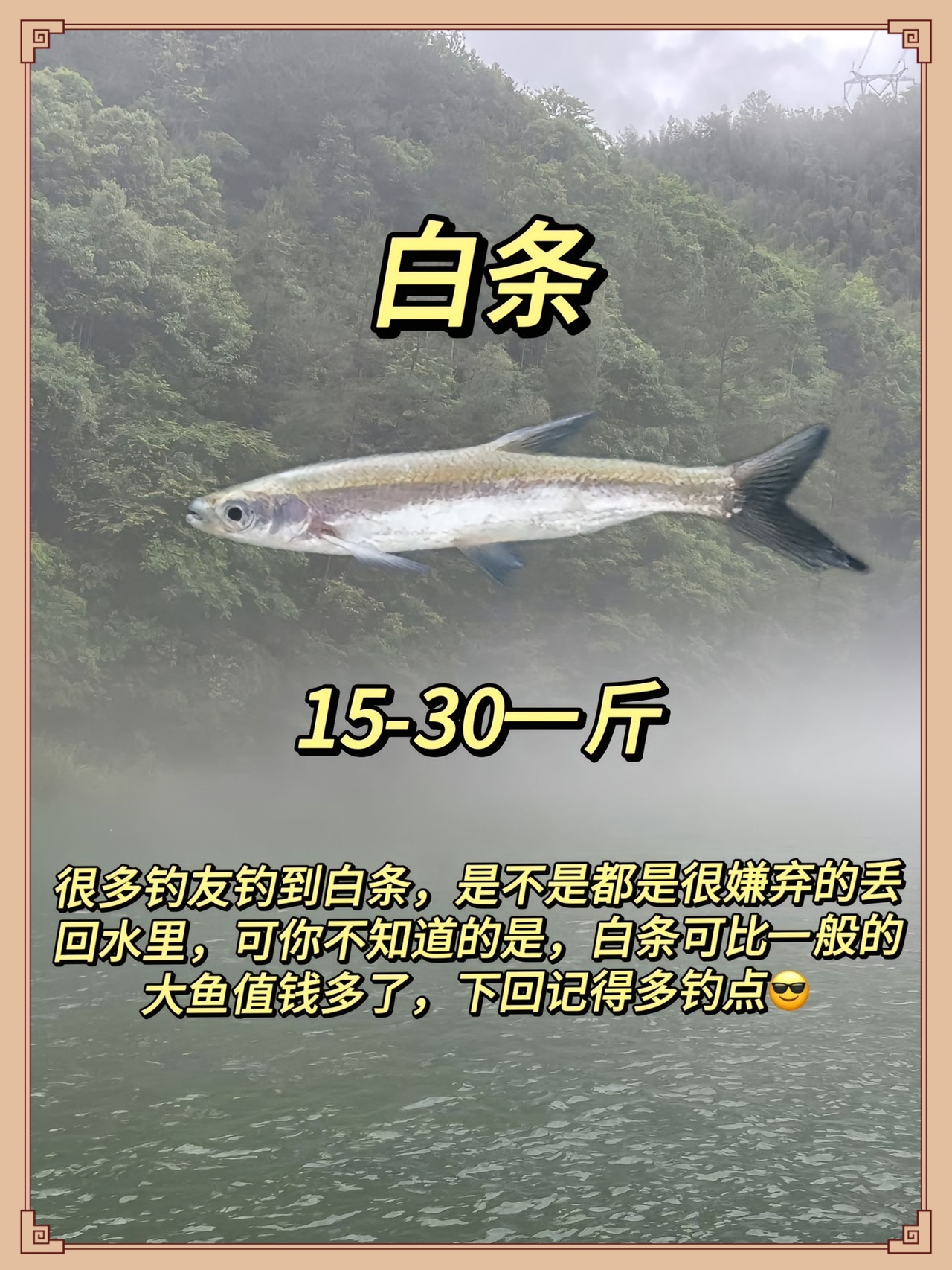 专钓小杂鱼技巧(钓小杂鱼怎么调漂)