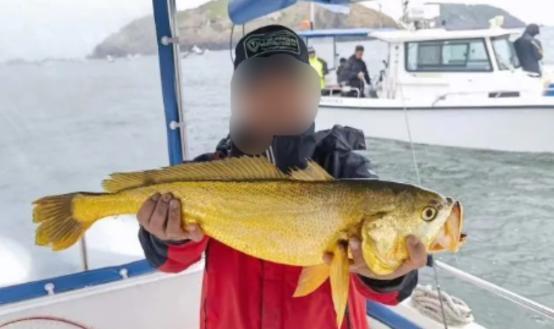 海钓常钓鱼种(海钓常钓鱼种有哪些)