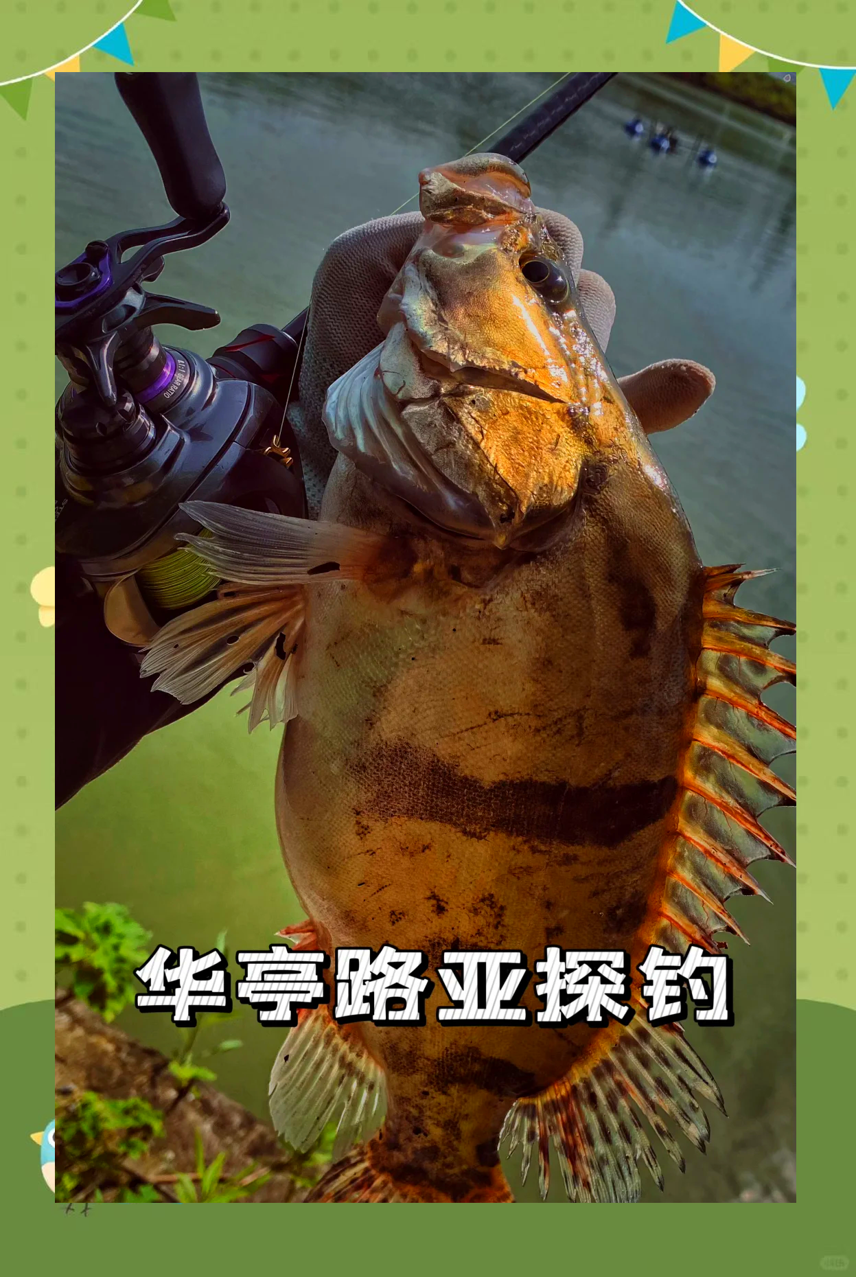 荆州路亚塘(荆州路亚基地)